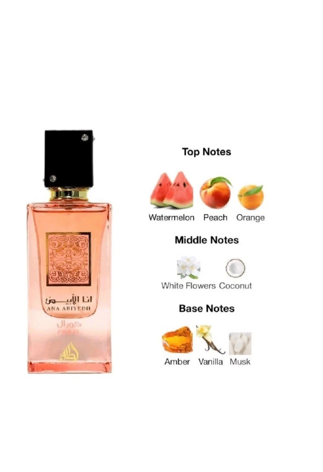 authentic-ana-abiyedh-coral-perfume-by-lattafa-dubai-perfume-hub
