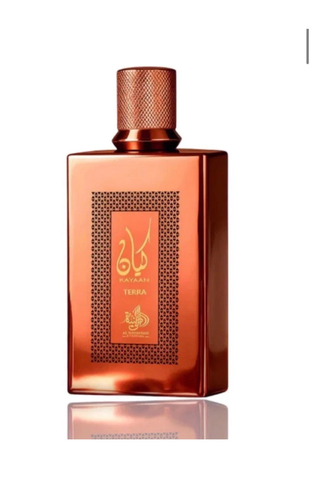 Kayaan Terra 100ml Eau De Parfum by Al Wataniah