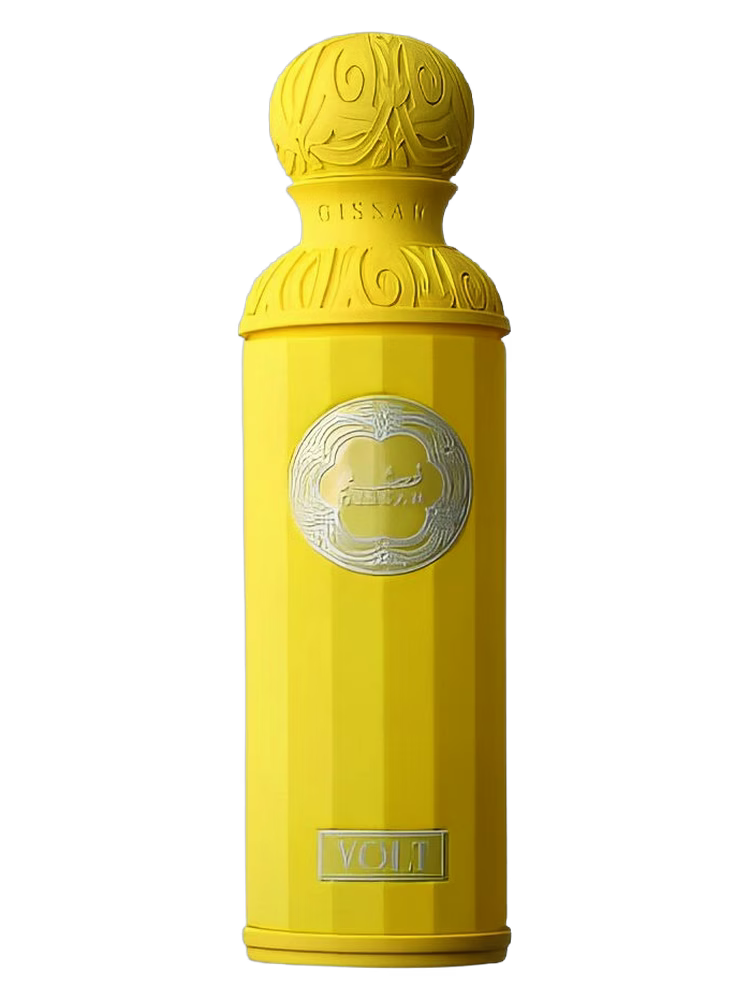 Volt by Gissah - Aromatic Fougere perfume for men