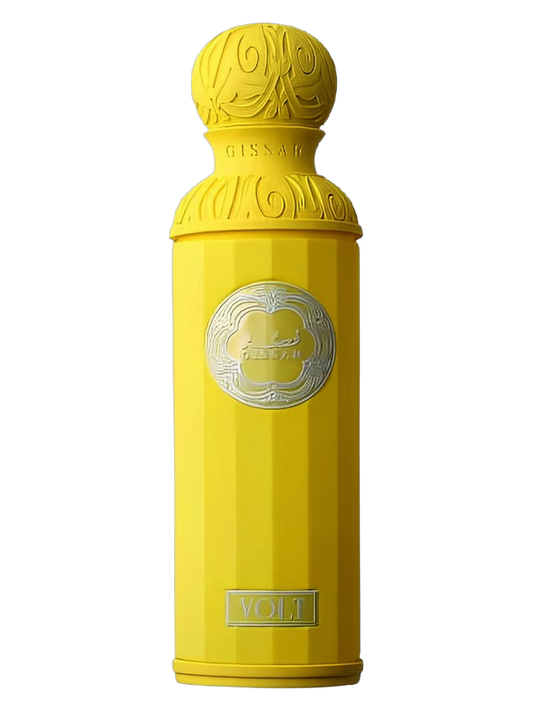 Volt by Gissah - Aromatic Fougere perfume for men